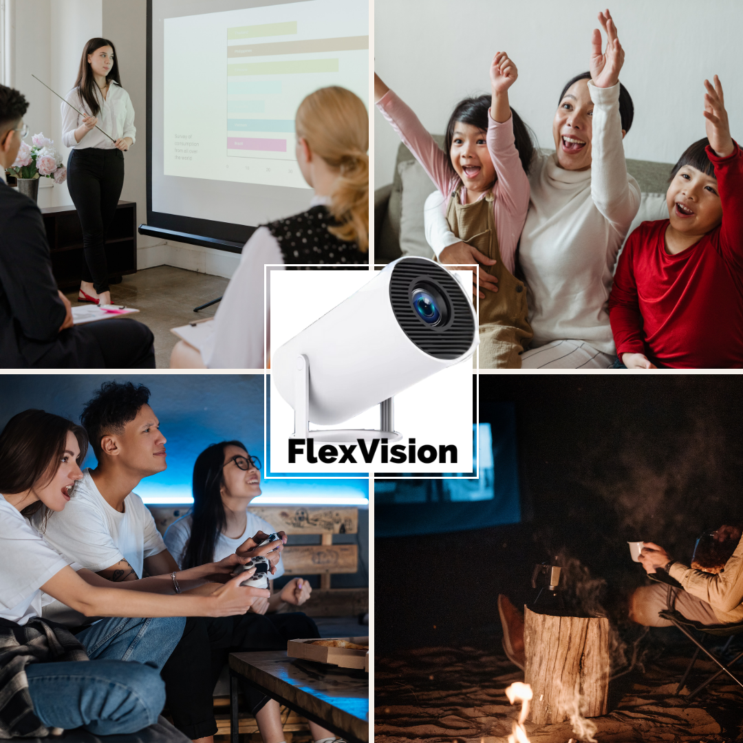 FlexVision